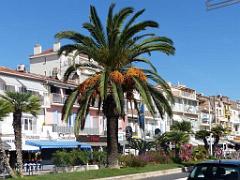 183 D16 BANDOL-1_000047
